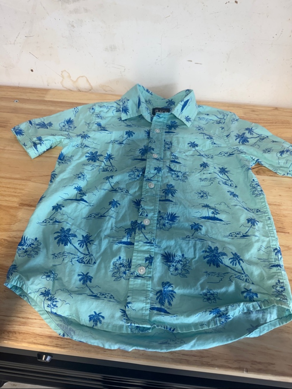 The Children's Place Light Aqua Button-Down Shirt with Blue Tropical Print